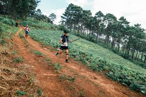 BIB: 
                            <button type="button" onclick="openModal(25299717)" class="btn btn-primary btn-sm float-right btn-popup" data-toggle="modal" data-target=".modal-high-quality">
                        <i class="fas fa-shopping-cart"></i> Add to Cart
                    </button>
                                            <button type="button" onclick="isThisMe(25299717, true)" class="btn btn-success btn-sm float-right btn-popup btn-isme hidden" data-toggle="tooltip" data-placement="bottom" title="นี่คือรูปของคุณใช่ไหม คลิกที่นี่เพื่อเอาเข้าอัลบั้ม">
                        <i class="fas fa-plus"></i> Add to album
                    </button>
                    <button type="button" onclick="isThisMe(25299717, false)" class="btn btn-warning btn-sm float-right btn-popup btn-isnotme hidden">
                        <i class="fas fa-ban"></i> Remove from album
                    </button>