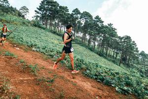 BIB: 
                            <button type="button" onclick="openModal(25299529)" class="btn btn-primary btn-sm float-right btn-popup" data-toggle="modal" data-target=".modal-high-quality">
                        <i class="fas fa-shopping-cart"></i> Add to Cart
                    </button>
                                            <button type="button" onclick="isThisMe(25299529, true)" class="btn btn-success btn-sm float-right btn-popup btn-isme hidden" data-toggle="tooltip" data-placement="bottom" title="นี่คือรูปของคุณใช่ไหม คลิกที่นี่เพื่อเอาเข้าอัลบั้ม">
                        <i class="fas fa-plus"></i> Add to album
                    </button>
                    <button type="button" onclick="isThisMe(25299529, false)" class="btn btn-warning btn-sm float-right btn-popup btn-isnotme hidden">
                        <i class="fas fa-ban"></i> Remove from album
                    </button>