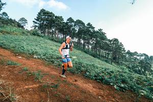 BIB: 
                            <button type="button" onclick="openModal(25291495)" class="btn btn-primary btn-sm float-right btn-popup" data-toggle="modal" data-target=".modal-high-quality">
                        <i class="fas fa-shopping-cart"></i> Add to Cart
                    </button>
                                            <button type="button" onclick="isThisMe(25291495, true)" class="btn btn-success btn-sm float-right btn-popup btn-isme hidden" data-toggle="tooltip" data-placement="bottom" title="นี่คือรูปของคุณใช่ไหม คลิกที่นี่เพื่อเอาเข้าอัลบั้ม">
                        <i class="fas fa-plus"></i> Add to album
                    </button>
                    <button type="button" onclick="isThisMe(25291495, false)" class="btn btn-warning btn-sm float-right btn-popup btn-isnotme hidden">
                        <i class="fas fa-ban"></i> Remove from album
                    </button>