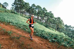 BIB: 
                            <button type="button" onclick="openModal(25297627)" class="btn btn-primary btn-sm float-right btn-popup" data-toggle="modal" data-target=".modal-high-quality">
                        <i class="fas fa-shopping-cart"></i> Add to Cart
                    </button>
                                            <button type="button" onclick="isThisMe(25297627, true)" class="btn btn-success btn-sm float-right btn-popup btn-isme hidden" data-toggle="tooltip" data-placement="bottom" title="นี่คือรูปของคุณใช่ไหม คลิกที่นี่เพื่อเอาเข้าอัลบั้ม">
                        <i class="fas fa-plus"></i> Add to album
                    </button>
                    <button type="button" onclick="isThisMe(25297627, false)" class="btn btn-warning btn-sm float-right btn-popup btn-isnotme hidden">
                        <i class="fas fa-ban"></i> Remove from album
                    </button>