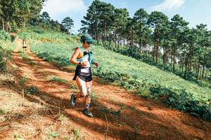 BIB: 
                            <button type="button" onclick="openModal(25291297)" class="btn btn-primary btn-sm float-right btn-popup" data-toggle="modal" data-target=".modal-high-quality">
                        <i class="fas fa-shopping-cart"></i> Add to Cart
                    </button>
                                            <button type="button" onclick="isThisMe(25291297, true)" class="btn btn-success btn-sm float-right btn-popup btn-isme hidden" data-toggle="tooltip" data-placement="bottom" title="นี่คือรูปของคุณใช่ไหม คลิกที่นี่เพื่อเอาเข้าอัลบั้ม">
                        <i class="fas fa-plus"></i> Add to album
                    </button>
                    <button type="button" onclick="isThisMe(25291297, false)" class="btn btn-warning btn-sm float-right btn-popup btn-isnotme hidden">
                        <i class="fas fa-ban"></i> Remove from album
                    </button>