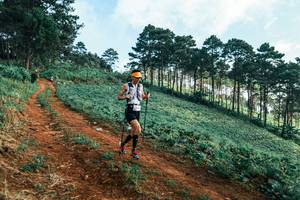 BIB: 
                            <button type="button" onclick="openModal(25288895)" class="btn btn-primary btn-sm float-right btn-popup" data-toggle="modal" data-target=".modal-high-quality">
                        <i class="fas fa-shopping-cart"></i> Add to Cart
                    </button>
                                            <button type="button" onclick="isThisMe(25288895, true)" class="btn btn-success btn-sm float-right btn-popup btn-isme hidden" data-toggle="tooltip" data-placement="bottom" title="นี่คือรูปของคุณใช่ไหม คลิกที่นี่เพื่อเอาเข้าอัลบั้ม">
                        <i class="fas fa-plus"></i> Add to album
                    </button>
                    <button type="button" onclick="isThisMe(25288895, false)" class="btn btn-warning btn-sm float-right btn-popup btn-isnotme hidden">
                        <i class="fas fa-ban"></i> Remove from album
                    </button>