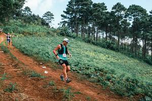 BIB: 
                            <button type="button" onclick="openModal(25293098)" class="btn btn-primary btn-sm float-right btn-popup" data-toggle="modal" data-target=".modal-high-quality">
                        <i class="fas fa-shopping-cart"></i> Add to Cart
                    </button>
                                            <button type="button" onclick="isThisMe(25293098, true)" class="btn btn-success btn-sm float-right btn-popup btn-isme hidden" data-toggle="tooltip" data-placement="bottom" title="นี่คือรูปของคุณใช่ไหม คลิกที่นี่เพื่อเอาเข้าอัลบั้ม">
                        <i class="fas fa-plus"></i> Add to album
                    </button>
                    <button type="button" onclick="isThisMe(25293098, false)" class="btn btn-warning btn-sm float-right btn-popup btn-isnotme hidden">
                        <i class="fas fa-ban"></i> Remove from album
                    </button>