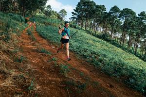 BIB: 
                            <button type="button" onclick="openModal(25289900)" class="btn btn-primary btn-sm float-right btn-popup" data-toggle="modal" data-target=".modal-high-quality">
                        <i class="fas fa-shopping-cart"></i> Add to Cart
                    </button>
                                            <button type="button" onclick="isThisMe(25289900, true)" class="btn btn-success btn-sm float-right btn-popup btn-isme hidden" data-toggle="tooltip" data-placement="bottom" title="นี่คือรูปของคุณใช่ไหม คลิกที่นี่เพื่อเอาเข้าอัลบั้ม">
                        <i class="fas fa-plus"></i> Add to album
                    </button>
                    <button type="button" onclick="isThisMe(25289900, false)" class="btn btn-warning btn-sm float-right btn-popup btn-isnotme hidden">
                        <i class="fas fa-ban"></i> Remove from album
                    </button>