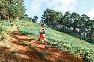 BIB: 
                            <button type="button" onclick="openModal(25288982)" class="btn btn-primary btn-sm float-right btn-popup" data-toggle="modal" data-target=".modal-high-quality">
                        <i class="fas fa-shopping-cart"></i> Add to Cart
                    </button>
                                            <button type="button" onclick="isThisMe(25288982, true)" class="btn btn-success btn-sm float-right btn-popup btn-isme hidden" data-toggle="tooltip" data-placement="bottom" title="นี่คือรูปของคุณใช่ไหม คลิกที่นี่เพื่อเอาเข้าอัลบั้ม">
                        <i class="fas fa-plus"></i> Add to album
                    </button>
                    <button type="button" onclick="isThisMe(25288982, false)" class="btn btn-warning btn-sm float-right btn-popup btn-isnotme hidden">
                        <i class="fas fa-ban"></i> Remove from album
                    </button>