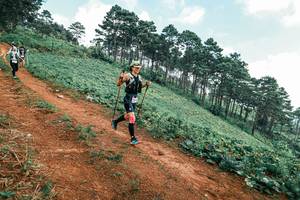 BIB: 
                            <button type="button" onclick="openModal(25456416)" class="btn btn-primary btn-sm float-right btn-popup" data-toggle="modal" data-target=".modal-high-quality">
                        <i class="fas fa-shopping-cart"></i> Add to Cart
                    </button>
                                            <button type="button" onclick="isThisMe(25456416, true)" class="btn btn-success btn-sm float-right btn-popup btn-isme hidden" data-toggle="tooltip" data-placement="bottom" title="นี่คือรูปของคุณใช่ไหม คลิกที่นี่เพื่อเอาเข้าอัลบั้ม">
                        <i class="fas fa-plus"></i> Add to album
                    </button>
                    <button type="button" onclick="isThisMe(25456416, false)" class="btn btn-warning btn-sm float-right btn-popup btn-isnotme hidden">
                        <i class="fas fa-ban"></i> Remove from album
                    </button>