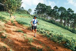 BIB: 
                            <button type="button" onclick="openModal(25289524)" class="btn btn-primary btn-sm float-right btn-popup" data-toggle="modal" data-target=".modal-high-quality">
                        <i class="fas fa-shopping-cart"></i> Add to Cart
                    </button>
                                            <button type="button" onclick="isThisMe(25289524, true)" class="btn btn-success btn-sm float-right btn-popup btn-isme hidden" data-toggle="tooltip" data-placement="bottom" title="นี่คือรูปของคุณใช่ไหม คลิกที่นี่เพื่อเอาเข้าอัลบั้ม">
                        <i class="fas fa-plus"></i> Add to album
                    </button>
                    <button type="button" onclick="isThisMe(25289524, false)" class="btn btn-warning btn-sm float-right btn-popup btn-isnotme hidden">
                        <i class="fas fa-ban"></i> Remove from album
                    </button>