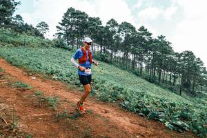 BIB: 
                            <button type="button" onclick="openModal(25299356)" class="btn btn-primary btn-sm float-right btn-popup" data-toggle="modal" data-target=".modal-high-quality">
                        <i class="fas fa-shopping-cart"></i> Add to Cart
                    </button>
                                            <button type="button" onclick="isThisMe(25299356, true)" class="btn btn-success btn-sm float-right btn-popup btn-isme hidden" data-toggle="tooltip" data-placement="bottom" title="นี่คือรูปของคุณใช่ไหม คลิกที่นี่เพื่อเอาเข้าอัลบั้ม">
                        <i class="fas fa-plus"></i> Add to album
                    </button>
                    <button type="button" onclick="isThisMe(25299356, false)" class="btn btn-warning btn-sm float-right btn-popup btn-isnotme hidden">
                        <i class="fas fa-ban"></i> Remove from album
                    </button>