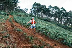 BIB: 
                            <button type="button" onclick="openModal(25288648)" class="btn btn-primary btn-sm float-right btn-popup" data-toggle="modal" data-target=".modal-high-quality">
                        <i class="fas fa-shopping-cart"></i> Add to Cart
                    </button>
                                            <button type="button" onclick="isThisMe(25288648, true)" class="btn btn-success btn-sm float-right btn-popup btn-isme hidden" data-toggle="tooltip" data-placement="bottom" title="นี่คือรูปของคุณใช่ไหม คลิกที่นี่เพื่อเอาเข้าอัลบั้ม">
                        <i class="fas fa-plus"></i> Add to album
                    </button>
                    <button type="button" onclick="isThisMe(25288648, false)" class="btn btn-warning btn-sm float-right btn-popup btn-isnotme hidden">
                        <i class="fas fa-ban"></i> Remove from album
                    </button>