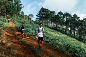 BIB: 
                            <button type="button" onclick="openModal(25289012)" class="btn btn-primary btn-sm float-right btn-popup" data-toggle="modal" data-target=".modal-high-quality">
                        <i class="fas fa-shopping-cart"></i> Add to Cart
                    </button>
                                            <button type="button" onclick="isThisMe(25289012, true)" class="btn btn-success btn-sm float-right btn-popup btn-isme hidden" data-toggle="tooltip" data-placement="bottom" title="นี่คือรูปของคุณใช่ไหม คลิกที่นี่เพื่อเอาเข้าอัลบั้ม">
                        <i class="fas fa-plus"></i> Add to album
                    </button>
                    <button type="button" onclick="isThisMe(25289012, false)" class="btn btn-warning btn-sm float-right btn-popup btn-isnotme hidden">
                        <i class="fas fa-ban"></i> Remove from album
                    </button>