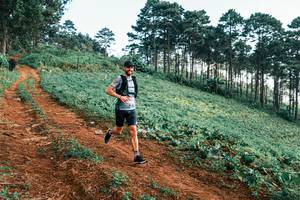 BIB: 
                            <button type="button" onclick="openModal(25287594)" class="btn btn-primary btn-sm float-right btn-popup" data-toggle="modal" data-target=".modal-high-quality">
                        <i class="fas fa-shopping-cart"></i> Add to Cart
                    </button>
                                            <button type="button" onclick="isThisMe(25287594, true)" class="btn btn-success btn-sm float-right btn-popup btn-isme hidden" data-toggle="tooltip" data-placement="bottom" title="นี่คือรูปของคุณใช่ไหม คลิกที่นี่เพื่อเอาเข้าอัลบั้ม">
                        <i class="fas fa-plus"></i> Add to album
                    </button>
                    <button type="button" onclick="isThisMe(25287594, false)" class="btn btn-warning btn-sm float-right btn-popup btn-isnotme hidden">
                        <i class="fas fa-ban"></i> Remove from album
                    </button>