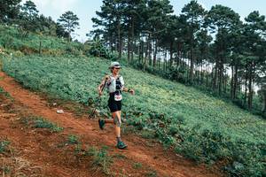 BIB: 
                            <button type="button" onclick="openModal(25292882)" class="btn btn-primary btn-sm float-right btn-popup" data-toggle="modal" data-target=".modal-high-quality">
                        <i class="fas fa-shopping-cart"></i> Add to Cart
                    </button>
                                            <button type="button" onclick="isThisMe(25292882, true)" class="btn btn-success btn-sm float-right btn-popup btn-isme hidden" data-toggle="tooltip" data-placement="bottom" title="นี่คือรูปของคุณใช่ไหม คลิกที่นี่เพื่อเอาเข้าอัลบั้ม">
                        <i class="fas fa-plus"></i> Add to album
                    </button>
                    <button type="button" onclick="isThisMe(25292882, false)" class="btn btn-warning btn-sm float-right btn-popup btn-isnotme hidden">
                        <i class="fas fa-ban"></i> Remove from album
                    </button>