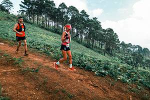 BIB: 
                            <button type="button" onclick="openModal(25297792)" class="btn btn-primary btn-sm float-right btn-popup" data-toggle="modal" data-target=".modal-high-quality">
                        <i class="fas fa-shopping-cart"></i> Add to Cart
                    </button>
                                            <button type="button" onclick="isThisMe(25297792, true)" class="btn btn-success btn-sm float-right btn-popup btn-isme hidden" data-toggle="tooltip" data-placement="bottom" title="นี่คือรูปของคุณใช่ไหม คลิกที่นี่เพื่อเอาเข้าอัลบั้ม">
                        <i class="fas fa-plus"></i> Add to album
                    </button>
                    <button type="button" onclick="isThisMe(25297792, false)" class="btn btn-warning btn-sm float-right btn-popup btn-isnotme hidden">
                        <i class="fas fa-ban"></i> Remove from album
                    </button>