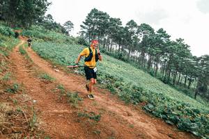 BIB: 
                            <button type="button" onclick="openModal(25322974)" class="btn btn-primary btn-sm float-right btn-popup" data-toggle="modal" data-target=".modal-high-quality">
                        <i class="fas fa-shopping-cart"></i> Add to Cart
                    </button>
                                            <button type="button" onclick="isThisMe(25322974, true)" class="btn btn-success btn-sm float-right btn-popup btn-isme hidden" data-toggle="tooltip" data-placement="bottom" title="นี่คือรูปของคุณใช่ไหม คลิกที่นี่เพื่อเอาเข้าอัลบั้ม">
                        <i class="fas fa-plus"></i> Add to album
                    </button>
                    <button type="button" onclick="isThisMe(25322974, false)" class="btn btn-warning btn-sm float-right btn-popup btn-isnotme hidden">
                        <i class="fas fa-ban"></i> Remove from album
                    </button>