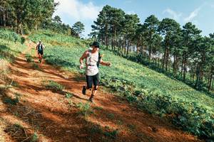 BIB: 
                            <button type="button" onclick="openModal(25289690)" class="btn btn-primary btn-sm float-right btn-popup" data-toggle="modal" data-target=".modal-high-quality">
                        <i class="fas fa-shopping-cart"></i> Add to Cart
                    </button>
                                            <button type="button" onclick="isThisMe(25289690, true)" class="btn btn-success btn-sm float-right btn-popup btn-isme hidden" data-toggle="tooltip" data-placement="bottom" title="นี่คือรูปของคุณใช่ไหม คลิกที่นี่เพื่อเอาเข้าอัลบั้ม">
                        <i class="fas fa-plus"></i> Add to album
                    </button>
                    <button type="button" onclick="isThisMe(25289690, false)" class="btn btn-warning btn-sm float-right btn-popup btn-isnotme hidden">
                        <i class="fas fa-ban"></i> Remove from album
                    </button>