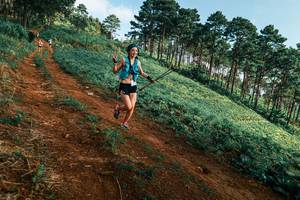 BIB: 
                            <button type="button" onclick="openModal(25289907)" class="btn btn-primary btn-sm float-right btn-popup" data-toggle="modal" data-target=".modal-high-quality">
                        <i class="fas fa-shopping-cart"></i> Add to Cart
                    </button>
                                            <button type="button" onclick="isThisMe(25289907, true)" class="btn btn-success btn-sm float-right btn-popup btn-isme hidden" data-toggle="tooltip" data-placement="bottom" title="นี่คือรูปของคุณใช่ไหม คลิกที่นี่เพื่อเอาเข้าอัลบั้ม">
                        <i class="fas fa-plus"></i> Add to album
                    </button>
                    <button type="button" onclick="isThisMe(25289907, false)" class="btn btn-warning btn-sm float-right btn-popup btn-isnotme hidden">
                        <i class="fas fa-ban"></i> Remove from album
                    </button>