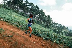 BIB: 
                            <button type="button" onclick="openModal(25452862)" class="btn btn-primary btn-sm float-right btn-popup" data-toggle="modal" data-target=".modal-high-quality">
                        <i class="fas fa-shopping-cart"></i> Add to Cart
                    </button>
                                            <button type="button" onclick="isThisMe(25452862, true)" class="btn btn-success btn-sm float-right btn-popup btn-isme hidden" data-toggle="tooltip" data-placement="bottom" title="นี่คือรูปของคุณใช่ไหม คลิกที่นี่เพื่อเอาเข้าอัลบั้ม">
                        <i class="fas fa-plus"></i> Add to album
                    </button>
                    <button type="button" onclick="isThisMe(25452862, false)" class="btn btn-warning btn-sm float-right btn-popup btn-isnotme hidden">
                        <i class="fas fa-ban"></i> Remove from album
                    </button>