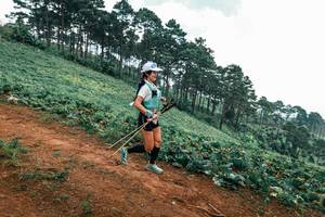 BIB: 
                            <button type="button" onclick="openModal(25324069)" class="btn btn-primary btn-sm float-right btn-popup" data-toggle="modal" data-target=".modal-high-quality">
                        <i class="fas fa-shopping-cart"></i> Add to Cart
                    </button>
                                            <button type="button" onclick="isThisMe(25324069, true)" class="btn btn-success btn-sm float-right btn-popup btn-isme hidden" data-toggle="tooltip" data-placement="bottom" title="นี่คือรูปของคุณใช่ไหม คลิกที่นี่เพื่อเอาเข้าอัลบั้ม">
                        <i class="fas fa-plus"></i> Add to album
                    </button>
                    <button type="button" onclick="isThisMe(25324069, false)" class="btn btn-warning btn-sm float-right btn-popup btn-isnotme hidden">
                        <i class="fas fa-ban"></i> Remove from album
                    </button>