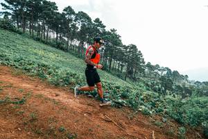 BIB: 
                            <button type="button" onclick="openModal(25300584)" class="btn btn-primary btn-sm float-right btn-popup" data-toggle="modal" data-target=".modal-high-quality">
                        <i class="fas fa-shopping-cart"></i> Add to Cart
                    </button>
                                            <button type="button" onclick="isThisMe(25300584, true)" class="btn btn-success btn-sm float-right btn-popup btn-isme hidden" data-toggle="tooltip" data-placement="bottom" title="นี่คือรูปของคุณใช่ไหม คลิกที่นี่เพื่อเอาเข้าอัลบั้ม">
                        <i class="fas fa-plus"></i> Add to album
                    </button>
                    <button type="button" onclick="isThisMe(25300584, false)" class="btn btn-warning btn-sm float-right btn-popup btn-isnotme hidden">
                        <i class="fas fa-ban"></i> Remove from album
                    </button>