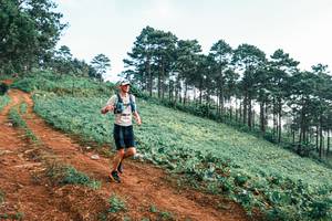 BIB: 
                            <button type="button" onclick="openModal(25287619)" class="btn btn-primary btn-sm float-right btn-popup" data-toggle="modal" data-target=".modal-high-quality">
                        <i class="fas fa-shopping-cart"></i> Add to Cart
                    </button>
                                            <button type="button" onclick="isThisMe(25287619, true)" class="btn btn-success btn-sm float-right btn-popup btn-isme hidden" data-toggle="tooltip" data-placement="bottom" title="นี่คือรูปของคุณใช่ไหม คลิกที่นี่เพื่อเอาเข้าอัลบั้ม">
                        <i class="fas fa-plus"></i> Add to album
                    </button>
                    <button type="button" onclick="isThisMe(25287619, false)" class="btn btn-warning btn-sm float-right btn-popup btn-isnotme hidden">
                        <i class="fas fa-ban"></i> Remove from album
                    </button>