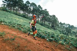 BIB: 
                            <button type="button" onclick="openModal(25299543)" class="btn btn-primary btn-sm float-right btn-popup" data-toggle="modal" data-target=".modal-high-quality">
                        <i class="fas fa-shopping-cart"></i> Add to Cart
                    </button>
                                            <button type="button" onclick="isThisMe(25299543, true)" class="btn btn-success btn-sm float-right btn-popup btn-isme hidden" data-toggle="tooltip" data-placement="bottom" title="นี่คือรูปของคุณใช่ไหม คลิกที่นี่เพื่อเอาเข้าอัลบั้ม">
                        <i class="fas fa-plus"></i> Add to album
                    </button>
                    <button type="button" onclick="isThisMe(25299543, false)" class="btn btn-warning btn-sm float-right btn-popup btn-isnotme hidden">
                        <i class="fas fa-ban"></i> Remove from album
                    </button>