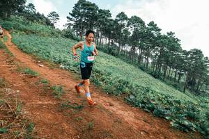 BIB: 
                            <button type="button" onclick="openModal(25299479)" class="btn btn-primary btn-sm float-right btn-popup" data-toggle="modal" data-target=".modal-high-quality">
                        <i class="fas fa-shopping-cart"></i> Add to Cart
                    </button>
                                            <button type="button" onclick="isThisMe(25299479, true)" class="btn btn-success btn-sm float-right btn-popup btn-isme hidden" data-toggle="tooltip" data-placement="bottom" title="นี่คือรูปของคุณใช่ไหม คลิกที่นี่เพื่อเอาเข้าอัลบั้ม">
                        <i class="fas fa-plus"></i> Add to album
                    </button>
                    <button type="button" onclick="isThisMe(25299479, false)" class="btn btn-warning btn-sm float-right btn-popup btn-isnotme hidden">
                        <i class="fas fa-ban"></i> Remove from album
                    </button>