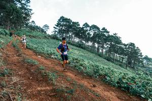 BIB: 
                            <button type="button" onclick="openModal(25288580)" class="btn btn-primary btn-sm float-right btn-popup" data-toggle="modal" data-target=".modal-high-quality">
                        <i class="fas fa-shopping-cart"></i> Add to Cart
                    </button>
                                            <button type="button" onclick="isThisMe(25288580, true)" class="btn btn-success btn-sm float-right btn-popup btn-isme hidden" data-toggle="tooltip" data-placement="bottom" title="นี่คือรูปของคุณใช่ไหม คลิกที่นี่เพื่อเอาเข้าอัลบั้ม">
                        <i class="fas fa-plus"></i> Add to album
                    </button>
                    <button type="button" onclick="isThisMe(25288580, false)" class="btn btn-warning btn-sm float-right btn-popup btn-isnotme hidden">
                        <i class="fas fa-ban"></i> Remove from album
                    </button>