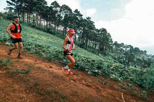 BIB: 
                            <button type="button" onclick="openModal(25297789)" class="btn btn-primary btn-sm float-right btn-popup" data-toggle="modal" data-target=".modal-high-quality">
                        <i class="fas fa-shopping-cart"></i> Add to Cart
                    </button>
                                            <button type="button" onclick="isThisMe(25297789, true)" class="btn btn-success btn-sm float-right btn-popup btn-isme hidden" data-toggle="tooltip" data-placement="bottom" title="นี่คือรูปของคุณใช่ไหม คลิกที่นี่เพื่อเอาเข้าอัลบั้ม">
                        <i class="fas fa-plus"></i> Add to album
                    </button>
                    <button type="button" onclick="isThisMe(25297789, false)" class="btn btn-warning btn-sm float-right btn-popup btn-isnotme hidden">
                        <i class="fas fa-ban"></i> Remove from album
                    </button>