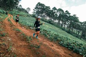 BIB: 
                            <button type="button" onclick="openModal(25323033)" class="btn btn-primary btn-sm float-right btn-popup" data-toggle="modal" data-target=".modal-high-quality">
                        <i class="fas fa-shopping-cart"></i> Add to Cart
                    </button>
                                            <button type="button" onclick="isThisMe(25323033, true)" class="btn btn-success btn-sm float-right btn-popup btn-isme hidden" data-toggle="tooltip" data-placement="bottom" title="นี่คือรูปของคุณใช่ไหม คลิกที่นี่เพื่อเอาเข้าอัลบั้ม">
                        <i class="fas fa-plus"></i> Add to album
                    </button>
                    <button type="button" onclick="isThisMe(25323033, false)" class="btn btn-warning btn-sm float-right btn-popup btn-isnotme hidden">
                        <i class="fas fa-ban"></i> Remove from album
                    </button>