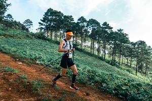 BIB: 
                            <button type="button" onclick="openModal(25288912)" class="btn btn-primary btn-sm float-right btn-popup" data-toggle="modal" data-target=".modal-high-quality">
                        <i class="fas fa-shopping-cart"></i> Add to Cart
                    </button>
                                            <button type="button" onclick="isThisMe(25288912, true)" class="btn btn-success btn-sm float-right btn-popup btn-isme hidden" data-toggle="tooltip" data-placement="bottom" title="นี่คือรูปของคุณใช่ไหม คลิกที่นี่เพื่อเอาเข้าอัลบั้ม">
                        <i class="fas fa-plus"></i> Add to album
                    </button>
                    <button type="button" onclick="isThisMe(25288912, false)" class="btn btn-warning btn-sm float-right btn-popup btn-isnotme hidden">
                        <i class="fas fa-ban"></i> Remove from album
                    </button>