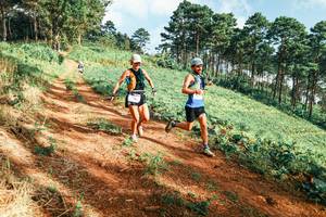 BIB: 
                            <button type="button" onclick="openModal(25289566)" class="btn btn-primary btn-sm float-right btn-popup" data-toggle="modal" data-target=".modal-high-quality">
                        <i class="fas fa-shopping-cart"></i> Add to Cart
                    </button>
                                            <button type="button" onclick="isThisMe(25289566, true)" class="btn btn-success btn-sm float-right btn-popup btn-isme hidden" data-toggle="tooltip" data-placement="bottom" title="นี่คือรูปของคุณใช่ไหม คลิกที่นี่เพื่อเอาเข้าอัลบั้ม">
                        <i class="fas fa-plus"></i> Add to album
                    </button>
                    <button type="button" onclick="isThisMe(25289566, false)" class="btn btn-warning btn-sm float-right btn-popup btn-isnotme hidden">
                        <i class="fas fa-ban"></i> Remove from album
                    </button>