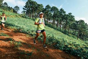 BIB: 
                            <button type="button" onclick="openModal(25289801)" class="btn btn-primary btn-sm float-right btn-popup" data-toggle="modal" data-target=".modal-high-quality">
                        <i class="fas fa-shopping-cart"></i> Add to Cart
                    </button>
                                            <button type="button" onclick="isThisMe(25289801, true)" class="btn btn-success btn-sm float-right btn-popup btn-isme hidden" data-toggle="tooltip" data-placement="bottom" title="นี่คือรูปของคุณใช่ไหม คลิกที่นี่เพื่อเอาเข้าอัลบั้ม">
                        <i class="fas fa-plus"></i> Add to album
                    </button>
                    <button type="button" onclick="isThisMe(25289801, false)" class="btn btn-warning btn-sm float-right btn-popup btn-isnotme hidden">
                        <i class="fas fa-ban"></i> Remove from album
                    </button>