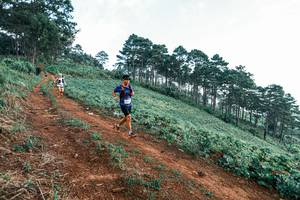 BIB: 
                            <button type="button" onclick="openModal(25288576)" class="btn btn-primary btn-sm float-right btn-popup" data-toggle="modal" data-target=".modal-high-quality">
                        <i class="fas fa-shopping-cart"></i> Add to Cart
                    </button>
                                            <button type="button" onclick="isThisMe(25288576, true)" class="btn btn-success btn-sm float-right btn-popup btn-isme hidden" data-toggle="tooltip" data-placement="bottom" title="นี่คือรูปของคุณใช่ไหม คลิกที่นี่เพื่อเอาเข้าอัลบั้ม">
                        <i class="fas fa-plus"></i> Add to album
                    </button>
                    <button type="button" onclick="isThisMe(25288576, false)" class="btn btn-warning btn-sm float-right btn-popup btn-isnotme hidden">
                        <i class="fas fa-ban"></i> Remove from album
                    </button>