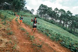 BIB: 
                            <button type="button" onclick="openModal(25321768)" class="btn btn-primary btn-sm float-right btn-popup" data-toggle="modal" data-target=".modal-high-quality">
                        <i class="fas fa-shopping-cart"></i> Add to Cart
                    </button>
                                            <button type="button" onclick="isThisMe(25321768, true)" class="btn btn-success btn-sm float-right btn-popup btn-isme hidden" data-toggle="tooltip" data-placement="bottom" title="นี่คือรูปของคุณใช่ไหม คลิกที่นี่เพื่อเอาเข้าอัลบั้ม">
                        <i class="fas fa-plus"></i> Add to album
                    </button>
                    <button type="button" onclick="isThisMe(25321768, false)" class="btn btn-warning btn-sm float-right btn-popup btn-isnotme hidden">
                        <i class="fas fa-ban"></i> Remove from album
                    </button>