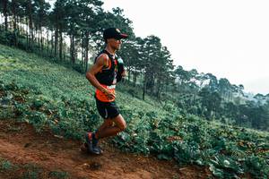 BIB: 
                            <button type="button" onclick="openModal(25287585)" class="btn btn-primary btn-sm float-right btn-popup" data-toggle="modal" data-target=".modal-high-quality">
                        <i class="fas fa-shopping-cart"></i> Add to Cart
                    </button>
                                            <button type="button" onclick="isThisMe(25287585, true)" class="btn btn-success btn-sm float-right btn-popup btn-isme hidden" data-toggle="tooltip" data-placement="bottom" title="นี่คือรูปของคุณใช่ไหม คลิกที่นี่เพื่อเอาเข้าอัลบั้ม">
                        <i class="fas fa-plus"></i> Add to album
                    </button>
                    <button type="button" onclick="isThisMe(25287585, false)" class="btn btn-warning btn-sm float-right btn-popup btn-isnotme hidden">
                        <i class="fas fa-ban"></i> Remove from album
                    </button>