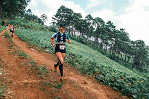 BIB: 
                            <button type="button" onclick="openModal(25322564)" class="btn btn-primary btn-sm float-right btn-popup" data-toggle="modal" data-target=".modal-high-quality">
                        <i class="fas fa-shopping-cart"></i> Add to Cart
                    </button>
                                            <button type="button" onclick="isThisMe(25322564, true)" class="btn btn-success btn-sm float-right btn-popup btn-isme hidden" data-toggle="tooltip" data-placement="bottom" title="นี่คือรูปของคุณใช่ไหม คลิกที่นี่เพื่อเอาเข้าอัลบั้ม">
                        <i class="fas fa-plus"></i> Add to album
                    </button>
                    <button type="button" onclick="isThisMe(25322564, false)" class="btn btn-warning btn-sm float-right btn-popup btn-isnotme hidden">
                        <i class="fas fa-ban"></i> Remove from album
                    </button>