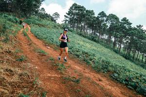 BIB: 
                            <button type="button" onclick="openModal(25453246)" class="btn btn-primary btn-sm float-right btn-popup" data-toggle="modal" data-target=".modal-high-quality">
                        <i class="fas fa-shopping-cart"></i> Add to Cart
                    </button>
                                            <button type="button" onclick="isThisMe(25453246, true)" class="btn btn-success btn-sm float-right btn-popup btn-isme hidden" data-toggle="tooltip" data-placement="bottom" title="นี่คือรูปของคุณใช่ไหม คลิกที่นี่เพื่อเอาเข้าอัลบั้ม">
                        <i class="fas fa-plus"></i> Add to album
                    </button>
                    <button type="button" onclick="isThisMe(25453246, false)" class="btn btn-warning btn-sm float-right btn-popup btn-isnotme hidden">
                        <i class="fas fa-ban"></i> Remove from album
                    </button>