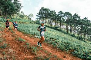 BIB: 
                            <button type="button" onclick="openModal(25288162)" class="btn btn-primary btn-sm float-right btn-popup" data-toggle="modal" data-target=".modal-high-quality">
                        <i class="fas fa-shopping-cart"></i> Add to Cart
                    </button>
                                            <button type="button" onclick="isThisMe(25288162, true)" class="btn btn-success btn-sm float-right btn-popup btn-isme hidden" data-toggle="tooltip" data-placement="bottom" title="นี่คือรูปของคุณใช่ไหม คลิกที่นี่เพื่อเอาเข้าอัลบั้ม">
                        <i class="fas fa-plus"></i> Add to album
                    </button>
                    <button type="button" onclick="isThisMe(25288162, false)" class="btn btn-warning btn-sm float-right btn-popup btn-isnotme hidden">
                        <i class="fas fa-ban"></i> Remove from album
                    </button>