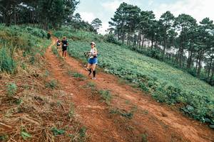 BIB: 
                            <button type="button" onclick="openModal(25299554)" class="btn btn-primary btn-sm float-right btn-popup" data-toggle="modal" data-target=".modal-high-quality">
                        <i class="fas fa-shopping-cart"></i> Add to Cart
                    </button>
                                            <button type="button" onclick="isThisMe(25299554, true)" class="btn btn-success btn-sm float-right btn-popup btn-isme hidden" data-toggle="tooltip" data-placement="bottom" title="นี่คือรูปของคุณใช่ไหม คลิกที่นี่เพื่อเอาเข้าอัลบั้ม">
                        <i class="fas fa-plus"></i> Add to album
                    </button>
                    <button type="button" onclick="isThisMe(25299554, false)" class="btn btn-warning btn-sm float-right btn-popup btn-isnotme hidden">
                        <i class="fas fa-ban"></i> Remove from album
                    </button>