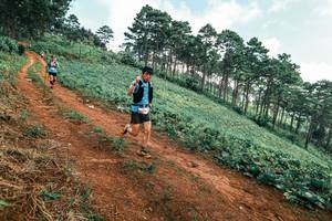 BIB: 
                            <button type="button" onclick="openModal(25297889)" class="btn btn-primary btn-sm float-right btn-popup" data-toggle="modal" data-target=".modal-high-quality">
                        <i class="fas fa-shopping-cart"></i> Add to Cart
                    </button>
                                            <button type="button" onclick="isThisMe(25297889, true)" class="btn btn-success btn-sm float-right btn-popup btn-isme hidden" data-toggle="tooltip" data-placement="bottom" title="นี่คือรูปของคุณใช่ไหม คลิกที่นี่เพื่อเอาเข้าอัลบั้ม">
                        <i class="fas fa-plus"></i> Add to album
                    </button>
                    <button type="button" onclick="isThisMe(25297889, false)" class="btn btn-warning btn-sm float-right btn-popup btn-isnotme hidden">
                        <i class="fas fa-ban"></i> Remove from album
                    </button>