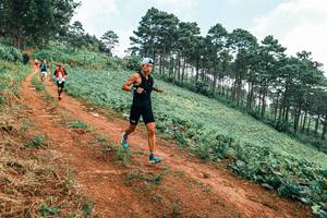 BIB: 
                            <button type="button" onclick="openModal(25299629)" class="btn btn-primary btn-sm float-right btn-popup" data-toggle="modal" data-target=".modal-high-quality">
                        <i class="fas fa-shopping-cart"></i> Add to Cart
                    </button>
                                            <button type="button" onclick="isThisMe(25299629, true)" class="btn btn-success btn-sm float-right btn-popup btn-isme hidden" data-toggle="tooltip" data-placement="bottom" title="นี่คือรูปของคุณใช่ไหม คลิกที่นี่เพื่อเอาเข้าอัลบั้ม">
                        <i class="fas fa-plus"></i> Add to album
                    </button>
                    <button type="button" onclick="isThisMe(25299629, false)" class="btn btn-warning btn-sm float-right btn-popup btn-isnotme hidden">
                        <i class="fas fa-ban"></i> Remove from album
                    </button>