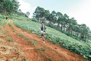 BIB: 
                            <button type="button" onclick="openModal(25291523)" class="btn btn-primary btn-sm float-right btn-popup" data-toggle="modal" data-target=".modal-high-quality">
                        <i class="fas fa-shopping-cart"></i> Add to Cart
                    </button>
                                            <button type="button" onclick="isThisMe(25291523, true)" class="btn btn-success btn-sm float-right btn-popup btn-isme hidden" data-toggle="tooltip" data-placement="bottom" title="นี่คือรูปของคุณใช่ไหม คลิกที่นี่เพื่อเอาเข้าอัลบั้ม">
                        <i class="fas fa-plus"></i> Add to album
                    </button>
                    <button type="button" onclick="isThisMe(25291523, false)" class="btn btn-warning btn-sm float-right btn-popup btn-isnotme hidden">
                        <i class="fas fa-ban"></i> Remove from album
                    </button>