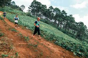 BIB: 
                            <button type="button" onclick="openModal(25452477)" class="btn btn-primary btn-sm float-right btn-popup" data-toggle="modal" data-target=".modal-high-quality">
                        <i class="fas fa-shopping-cart"></i> Add to Cart
                    </button>
                                            <button type="button" onclick="isThisMe(25452477, true)" class="btn btn-success btn-sm float-right btn-popup btn-isme hidden" data-toggle="tooltip" data-placement="bottom" title="นี่คือรูปของคุณใช่ไหม คลิกที่นี่เพื่อเอาเข้าอัลบั้ม">
                        <i class="fas fa-plus"></i> Add to album
                    </button>
                    <button type="button" onclick="isThisMe(25452477, false)" class="btn btn-warning btn-sm float-right btn-popup btn-isnotme hidden">
                        <i class="fas fa-ban"></i> Remove from album
                    </button>