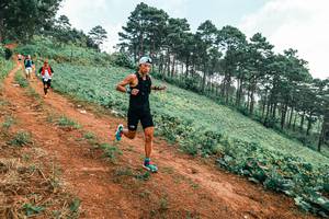 BIB: 
                            <button type="button" onclick="openModal(25299636)" class="btn btn-primary btn-sm float-right btn-popup" data-toggle="modal" data-target=".modal-high-quality">
                        <i class="fas fa-shopping-cart"></i> Add to Cart
                    </button>
                                            <button type="button" onclick="isThisMe(25299636, true)" class="btn btn-success btn-sm float-right btn-popup btn-isme hidden" data-toggle="tooltip" data-placement="bottom" title="นี่คือรูปของคุณใช่ไหม คลิกที่นี่เพื่อเอาเข้าอัลบั้ม">
                        <i class="fas fa-plus"></i> Add to album
                    </button>
                    <button type="button" onclick="isThisMe(25299636, false)" class="btn btn-warning btn-sm float-right btn-popup btn-isnotme hidden">
                        <i class="fas fa-ban"></i> Remove from album
                    </button>