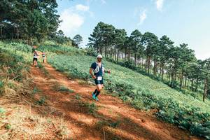 BIB: 
                            <button type="button" onclick="openModal(25291801)" class="btn btn-primary btn-sm float-right btn-popup" data-toggle="modal" data-target=".modal-high-quality">
                        <i class="fas fa-shopping-cart"></i> Add to Cart
                    </button>
                                            <button type="button" onclick="isThisMe(25291801, true)" class="btn btn-success btn-sm float-right btn-popup btn-isme hidden" data-toggle="tooltip" data-placement="bottom" title="นี่คือรูปของคุณใช่ไหม คลิกที่นี่เพื่อเอาเข้าอัลบั้ม">
                        <i class="fas fa-plus"></i> Add to album
                    </button>
                    <button type="button" onclick="isThisMe(25291801, false)" class="btn btn-warning btn-sm float-right btn-popup btn-isnotme hidden">
                        <i class="fas fa-ban"></i> Remove from album
                    </button>