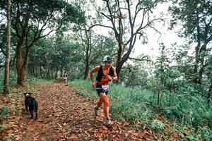 BIB: 
                            <button type="button" onclick="openModal(25287124)" class="btn btn-primary btn-sm float-right btn-popup" data-toggle="modal" data-target=".modal-high-quality">
                        <i class="fas fa-shopping-cart"></i> Add to Cart
                    </button>
                                            <button type="button" onclick="isThisMe(25287124, true)" class="btn btn-success btn-sm float-right btn-popup btn-isme hidden" data-toggle="tooltip" data-placement="bottom" title="นี่คือรูปของคุณใช่ไหม คลิกที่นี่เพื่อเอาเข้าอัลบั้ม">
                        <i class="fas fa-plus"></i> Add to album
                    </button>
                    <button type="button" onclick="isThisMe(25287124, false)" class="btn btn-warning btn-sm float-right btn-popup btn-isnotme hidden">
                        <i class="fas fa-ban"></i> Remove from album
                    </button>