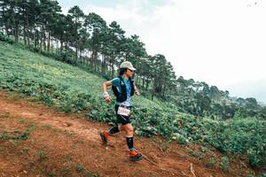 BIB: 
                            <button type="button" onclick="openModal(25433741)" class="btn btn-primary btn-sm float-right btn-popup" data-toggle="modal" data-target=".modal-high-quality">
                        <i class="fas fa-shopping-cart"></i> Add to Cart
                    </button>
                                            <button type="button" onclick="isThisMe(25433741, true)" class="btn btn-success btn-sm float-right btn-popup btn-isme hidden" data-toggle="tooltip" data-placement="bottom" title="นี่คือรูปของคุณใช่ไหม คลิกที่นี่เพื่อเอาเข้าอัลบั้ม">
                        <i class="fas fa-plus"></i> Add to album
                    </button>
                    <button type="button" onclick="isThisMe(25433741, false)" class="btn btn-warning btn-sm float-right btn-popup btn-isnotme hidden">
                        <i class="fas fa-ban"></i> Remove from album
                    </button>