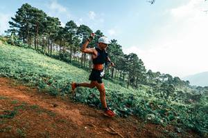 BIB: 
                            <button type="button" onclick="openModal(25290455)" class="btn btn-primary btn-sm float-right btn-popup" data-toggle="modal" data-target=".modal-high-quality">
                        <i class="fas fa-shopping-cart"></i> Add to Cart
                    </button>
                                            <button type="button" onclick="isThisMe(25290455, true)" class="btn btn-success btn-sm float-right btn-popup btn-isme hidden" data-toggle="tooltip" data-placement="bottom" title="นี่คือรูปของคุณใช่ไหม คลิกที่นี่เพื่อเอาเข้าอัลบั้ม">
                        <i class="fas fa-plus"></i> Add to album
                    </button>
                    <button type="button" onclick="isThisMe(25290455, false)" class="btn btn-warning btn-sm float-right btn-popup btn-isnotme hidden">
                        <i class="fas fa-ban"></i> Remove from album
                    </button>