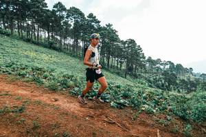 BIB: 
                            <button type="button" onclick="openModal(25298758)" class="btn btn-primary btn-sm float-right btn-popup" data-toggle="modal" data-target=".modal-high-quality">
                        <i class="fas fa-shopping-cart"></i> Add to Cart
                    </button>
                                            <button type="button" onclick="isThisMe(25298758, true)" class="btn btn-success btn-sm float-right btn-popup btn-isme hidden" data-toggle="tooltip" data-placement="bottom" title="นี่คือรูปของคุณใช่ไหม คลิกที่นี่เพื่อเอาเข้าอัลบั้ม">
                        <i class="fas fa-plus"></i> Add to album
                    </button>
                    <button type="button" onclick="isThisMe(25298758, false)" class="btn btn-warning btn-sm float-right btn-popup btn-isnotme hidden">
                        <i class="fas fa-ban"></i> Remove from album
                    </button>