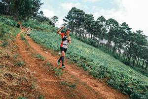 BIB: 
                            <button type="button" onclick="openModal(25299516)" class="btn btn-primary btn-sm float-right btn-popup" data-toggle="modal" data-target=".modal-high-quality">
                        <i class="fas fa-shopping-cart"></i> Add to Cart
                    </button>
                                            <button type="button" onclick="isThisMe(25299516, true)" class="btn btn-success btn-sm float-right btn-popup btn-isme hidden" data-toggle="tooltip" data-placement="bottom" title="นี่คือรูปของคุณใช่ไหม คลิกที่นี่เพื่อเอาเข้าอัลบั้ม">
                        <i class="fas fa-plus"></i> Add to album
                    </button>
                    <button type="button" onclick="isThisMe(25299516, false)" class="btn btn-warning btn-sm float-right btn-popup btn-isnotme hidden">
                        <i class="fas fa-ban"></i> Remove from album
                    </button>